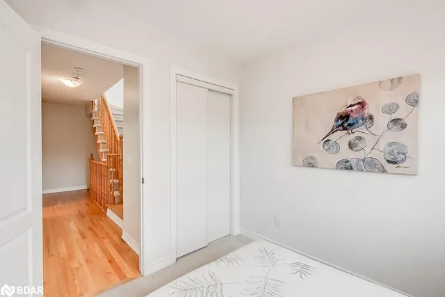 Additional image 25 of 3048 Silvertip Common Common