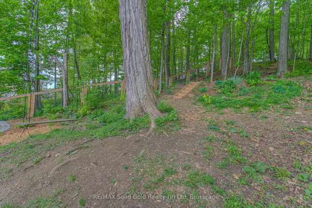 Additional image 49 of 57 Royal Orchard Dr