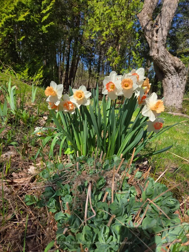 Additional image 2 of 5120 Pineridge Dr