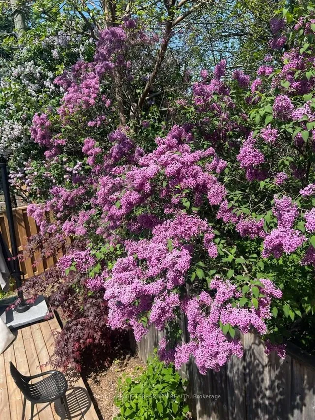 Additional image 50 of 72 Northbrook Rd