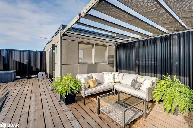 Additional image 31 of 3048 Silvertip Common Common