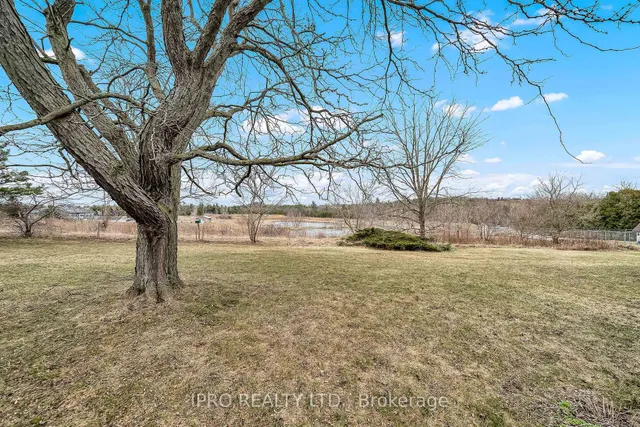 Additional image 21 of 137 Maple Cres