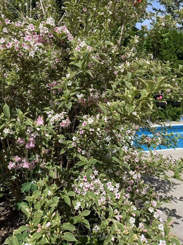 Additional image 44 of 41 Inverhuron Tr