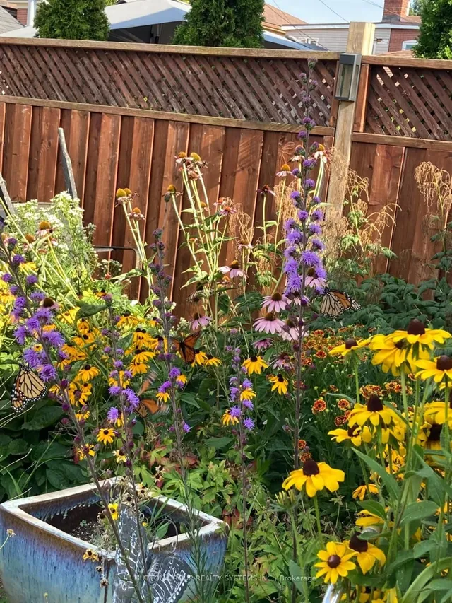 Additional image 38 of 217 Earlscourt Ave