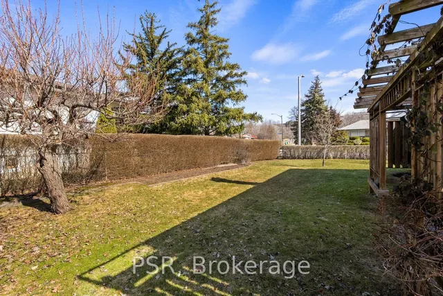 Additional image 4 of 1197 Greyowl Pt