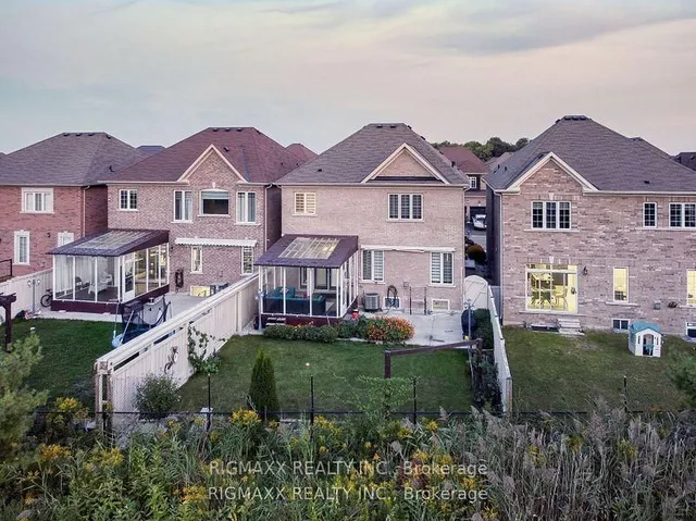 Additional image 38 of 22 Iguana Tr