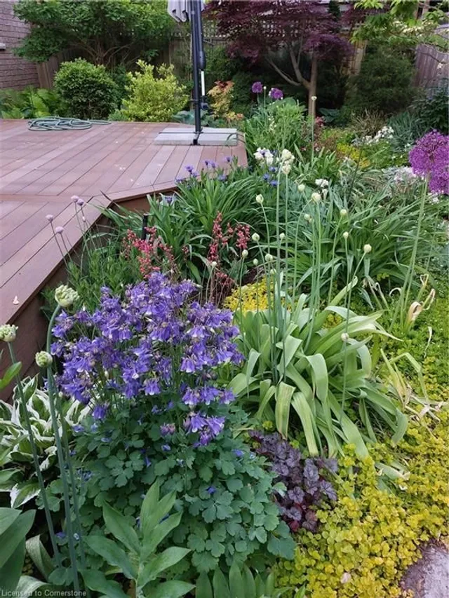 Additional image 40 of 2141 Caroline St Unit 8