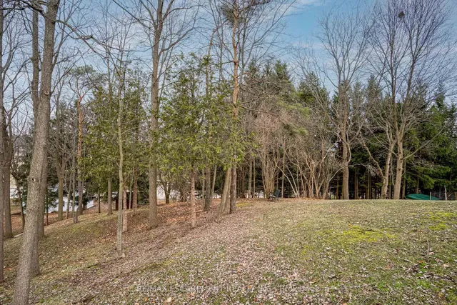 Additional image 2 of 558 Governors Rd