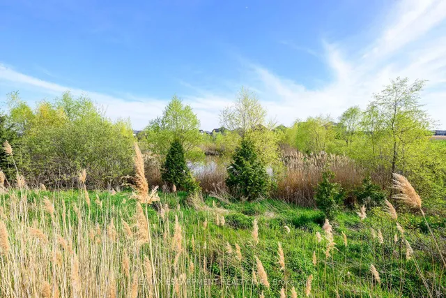 Additional image 45 of 12 Midhurst Hts