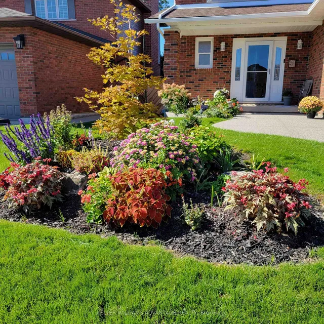 Additional image 42 of 99 Pinewarbler Dr