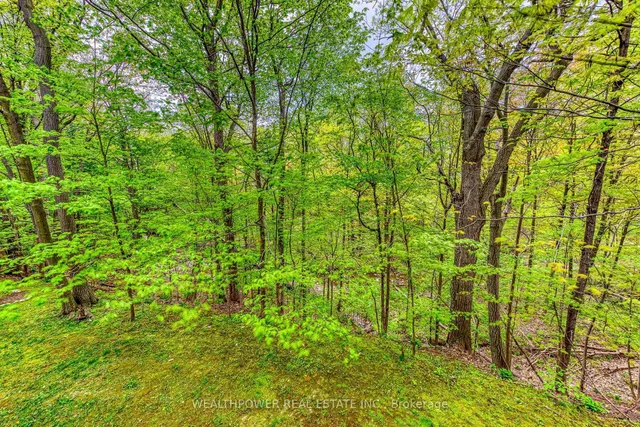 Additional image 13 of 1250 Marlborough Crt Unit 25