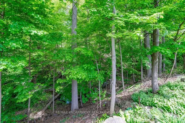 Additional image 35 of 31 Forestview Dr