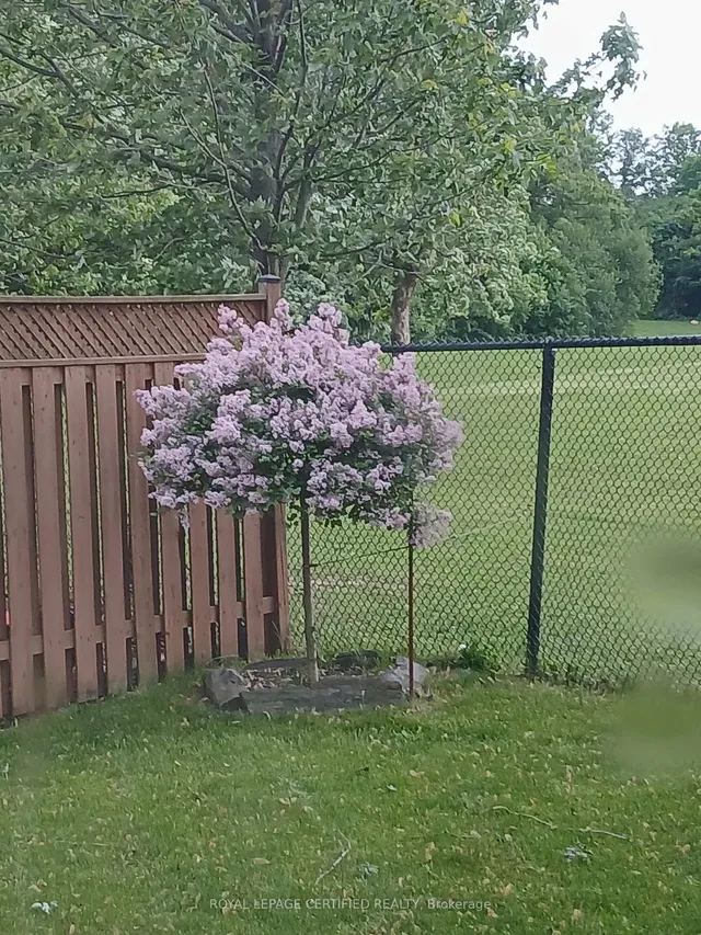 Additional image 40 of 252 Vintage Gate