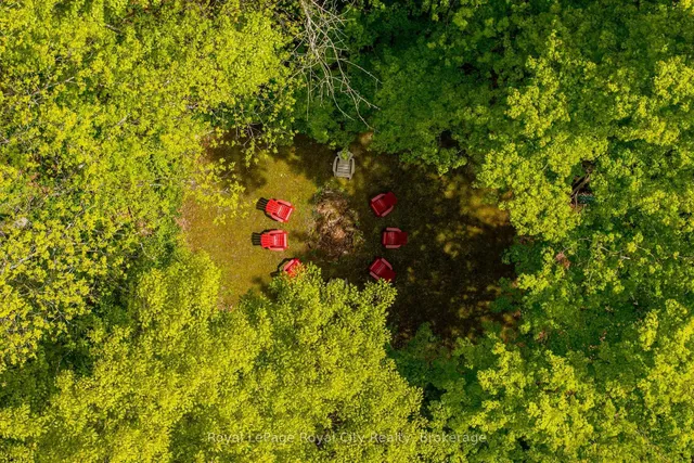 Additional image 46 of 1158 Conservation Rd