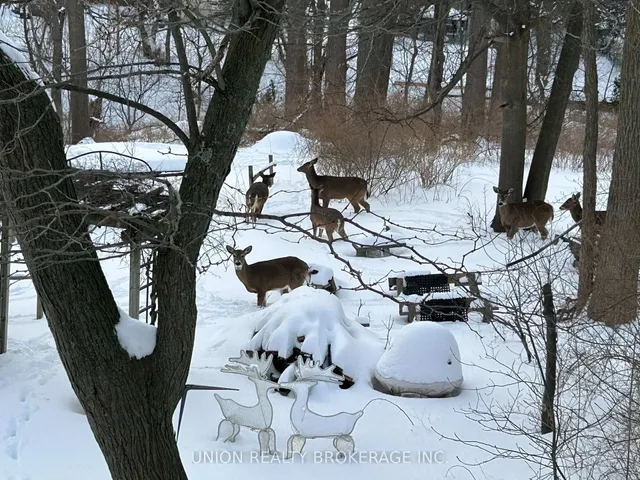 Additional image 47 of 120 Scarboro Cres