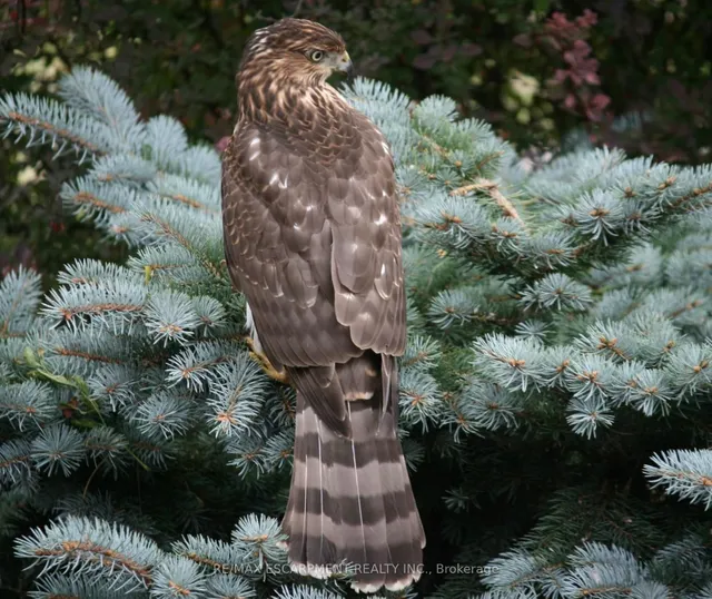 Additional image 40 of 690 York Rd