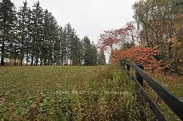 Additional image 20 of 8681 Canyon Rd