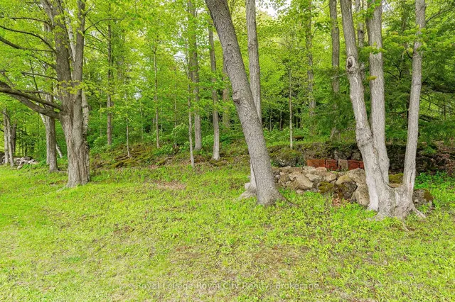 Additional image 15 of 1159 Campbellville Rd