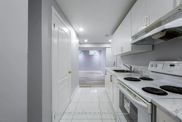 Additional image 37 of 58 Begonia Cres