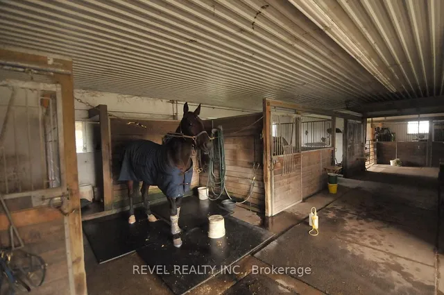 Additional image 28 of 8681 Canyon Rd