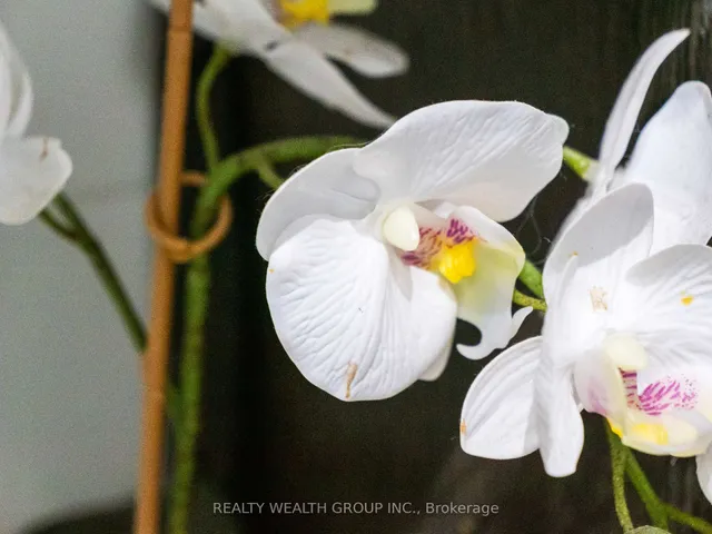 Additional image 24 of 3091 Dufferin St Unit 610