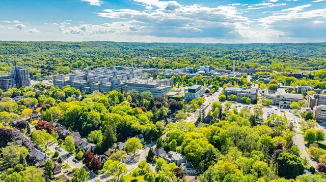 Additional image 49 of 3 Oakwood Pl