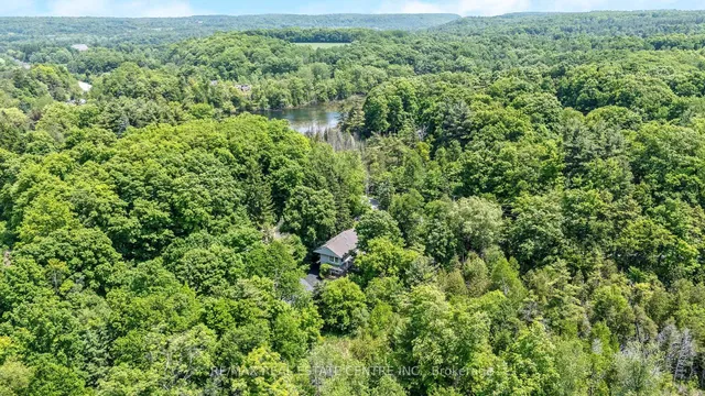 Additional image 3 of 209 Campbell Ave