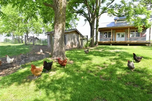 Additional image 33 of 1344 Highway 8