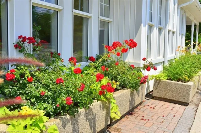 Additional image 34 of 600 Silverbirch Blvd Unit 205