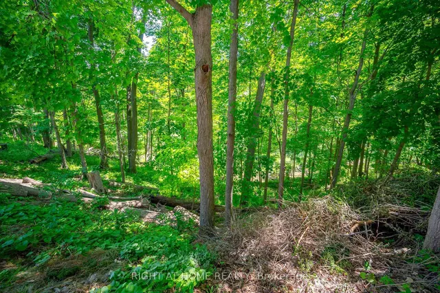 Additional image 37 of 85 Robinhood Dr