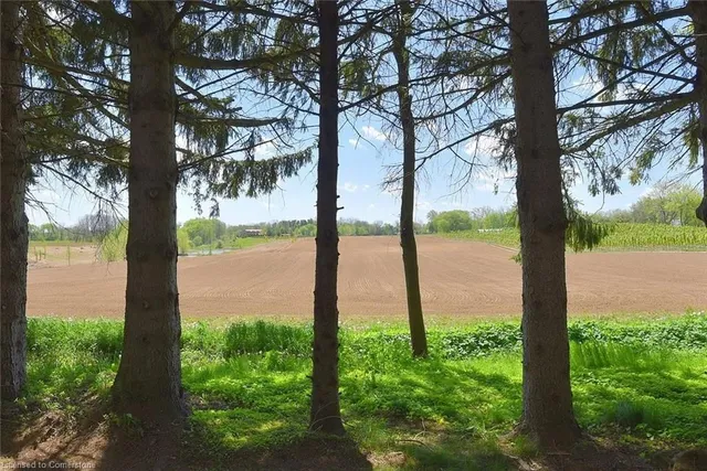 Additional image 39 of 39 Barnabas St