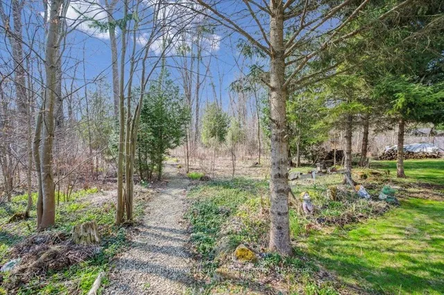 Additional image 45 of 1918 Regional 97 Rd