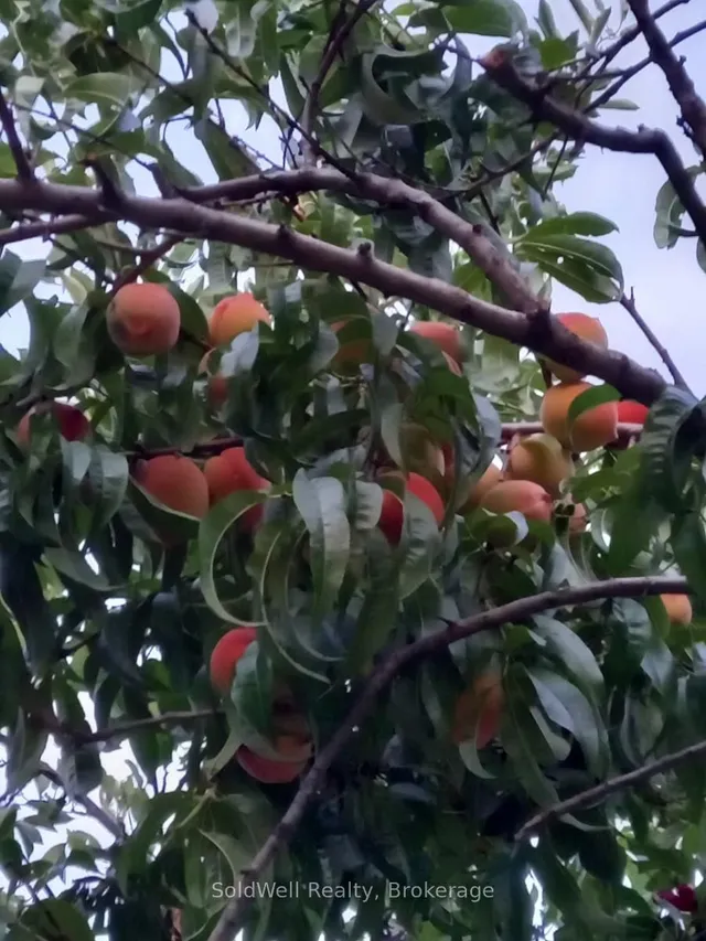 Additional image 50 of 9 Lynedock Cres