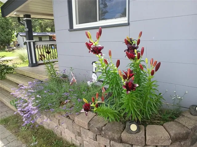 Additional image 3 of 47 Short Pky