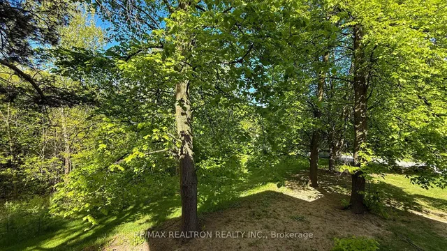 Additional image 47 of 48 Silvergrove Rd