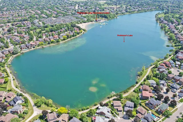 Additional image 26 of 83 Dandelion Rd