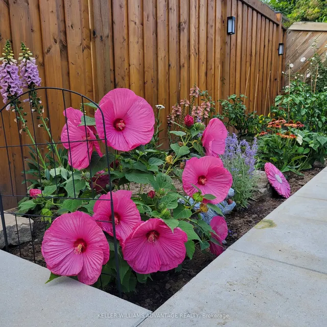 Additional image 40 of 99 Pinewarbler Dr