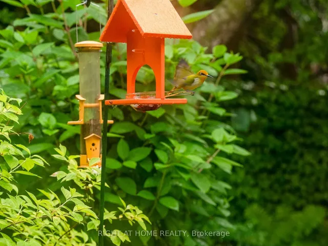 Additional image 44 of 18 Kingsmount Park Rd