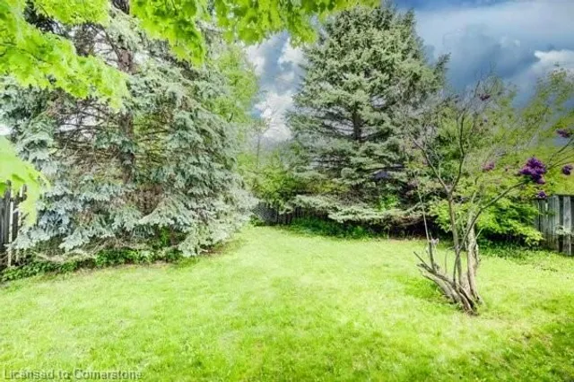 Additional image 34 of 10 Catalina Crt