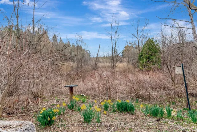 Additional image 36 of 1548 Mineral Springs Rd