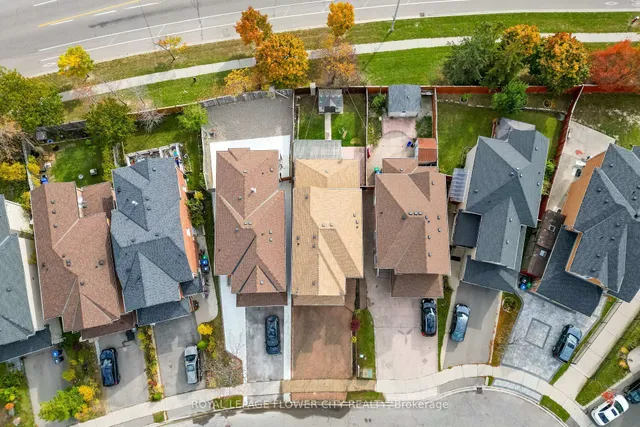 Additional image 48 of 51 Blue Whale Blvd