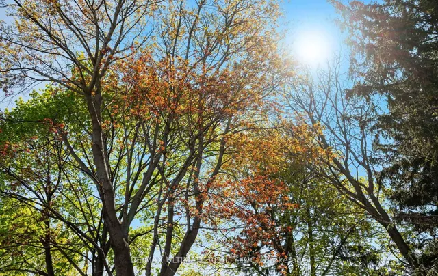 Additional image 46 of 54 Hexham Dr