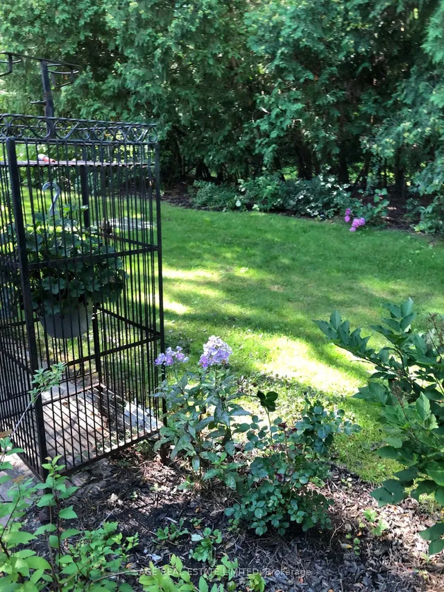 Additional image 32 of 26 Crimson Millway