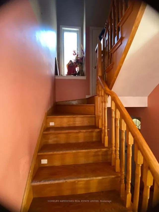 Additional image 22 of 34 Pogonia St