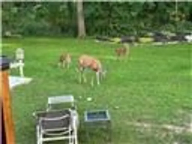 Additional image 32 of 16 Freeland Crt