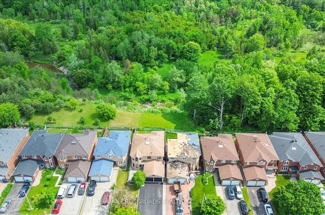 Additional image 7 of 75 Wandering Tr