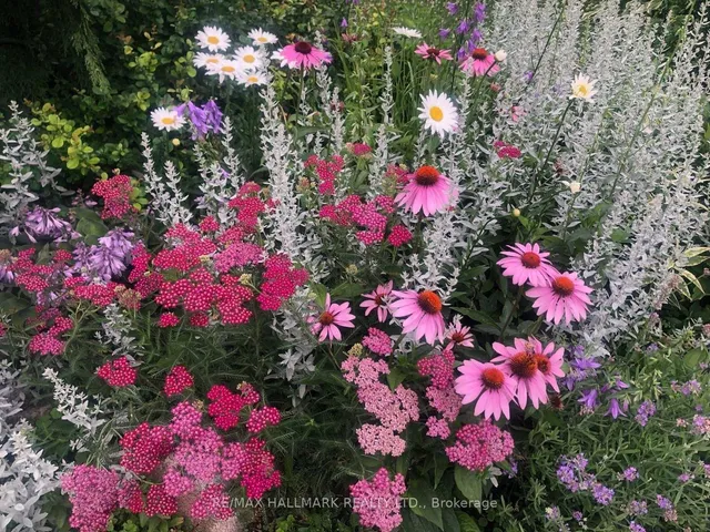 Additional image 47 of 297 Deloraine Ave