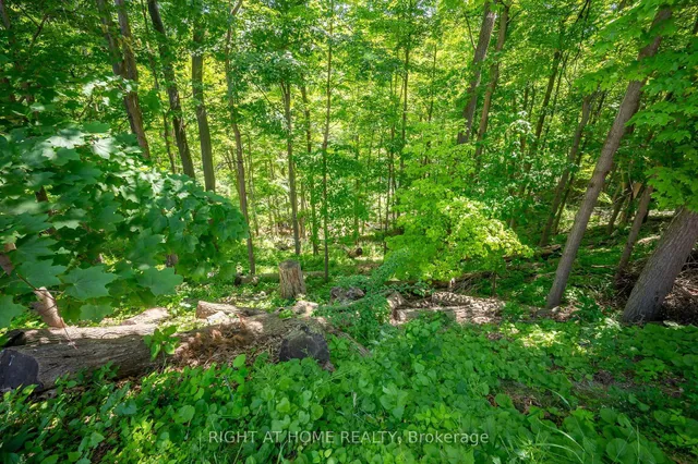 Additional image 36 of 85 Robinhood Dr