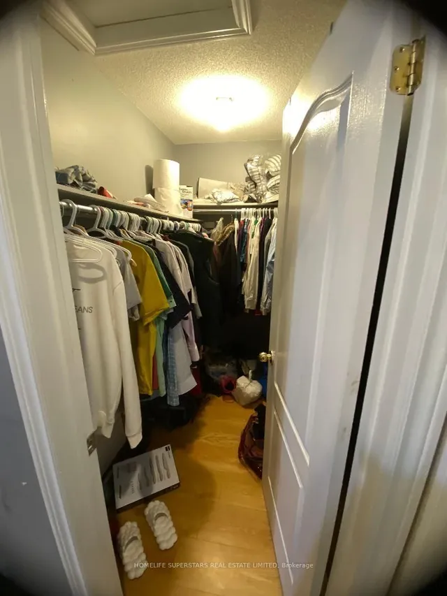 Additional image 25 of 34 Pogonia St