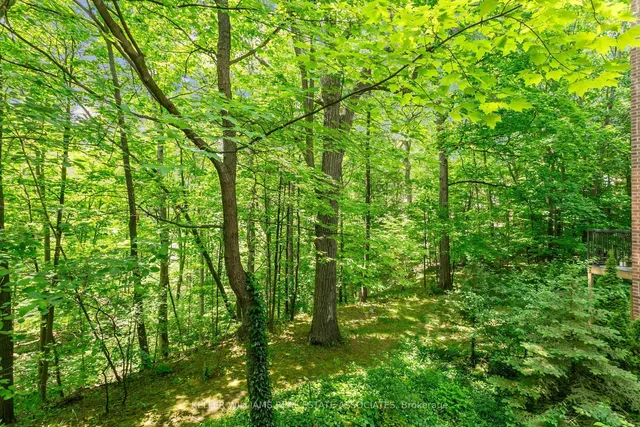 Additional image 37 of 1250 Marlborough Crt Unit 23